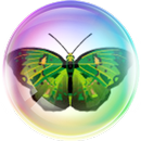 Пузыри с бабочками APK