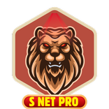 S Net Pro VPN