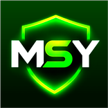 MSY VPN TUNNEL