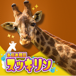 ビデオ通話/ランダム通話/ランダムチャットならスッキリン