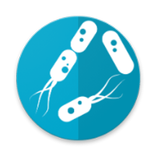 MFT Image App
