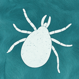 Tick Detector: Pet Tick Scan