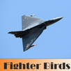 Fighter Birds APK