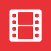 DS video icon