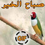 صور متحركة صباح الخير وبطاقات صباحية  gif  بدون نت