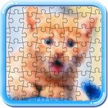 Collect picture Cats & kittens