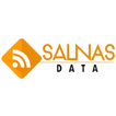 Salnas Data ไอคอน