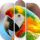 PicSticks: Picture Sort Puzzle APK