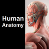 Human Anatomy Quiz APK