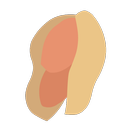 APK Peanuts - A Clicker Game