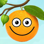 Save Orange: Brain Teasers