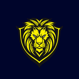 Lion VPN | Fast and Stable
