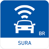 Seguro Para Você