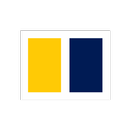 South China Morning Post APK