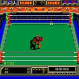 Robo Wres 2001