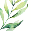 Lovely: plants care journal APK