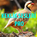 Keklik Sesi Pro APK