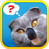 1 Pic Combo: What's the Thing? APK