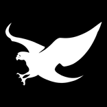 Shiekh Shoes: Shop Releases