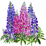 AI Lupine Scanner