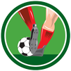 Daily Best Sport Predictions APK