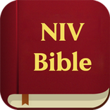 ”NIV Bible