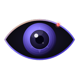 ViewCam: Phone as PC Webcam