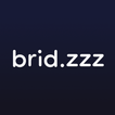 brid.zzz icon
