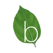 Basilico أيقونة