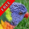 Bird Sounds Nature Sounds App APK