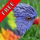 Bird Sounds Nature Sounds App APK