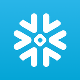 Snowflake CoWork
