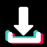 TikVideo Downloader