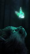 Cat Wallpapers HD 2023 screenshot 7