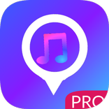 Song: writer lyrics-PRO