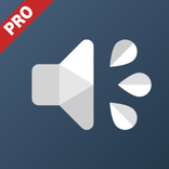 Speaker Cleaner PRO