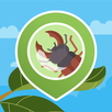 APK BOB BeetleObserver