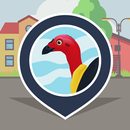 BrushTurkeys | SPOTTERON APK