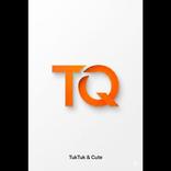 TQ Driver