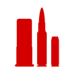 Shoot'n Score It icon