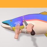 fillet a fish