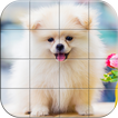 Tile Puzzle Pomeranian Dogs icon