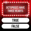 Trivia Quiz: Super Trivia Game APK
