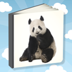 Picture Book For Toddlers aplikacja
