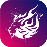 Taurosnet VPN