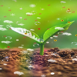 Farming Wallpaper