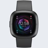 Fitbit Sense 2 Watch App Guide