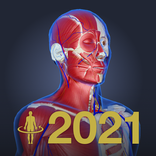 3D anatomi teamLabBody2021