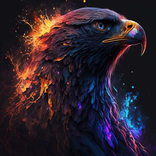 Eagles Wallpapers