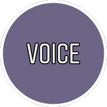 VOICE Namibia